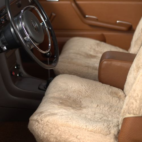 Mercedes-Benz 230.6 1970